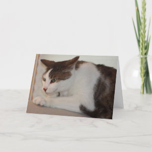 Even a Good Cat can have a Bad Day! Card