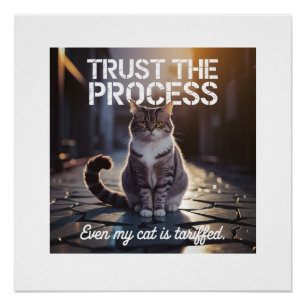 Even My Cat Is Tariffed - Trust The Process Poster