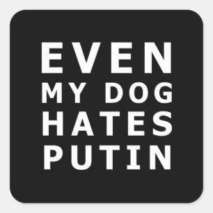 even my dog hates putin square sticker