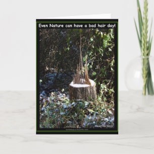 Even Nature Can Have A Bad Hair Day! Gifts Apparel Card