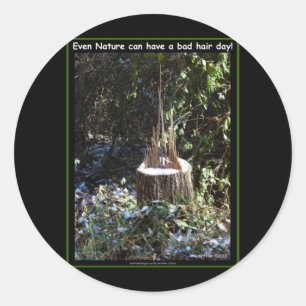 Even Nature Can Have A Bad Hair Day! Gifts Apparel Classic Round Sticker