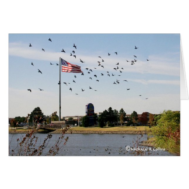 Even the ducks love the USA (Front Horizontal)