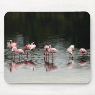 Evening at the Lake - Mousepad