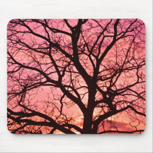 Evening Blush Tree Silhouette Mouse Mat