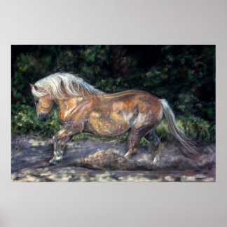 Evening breeze poster