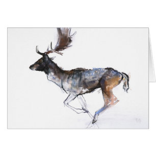 Evening Buck