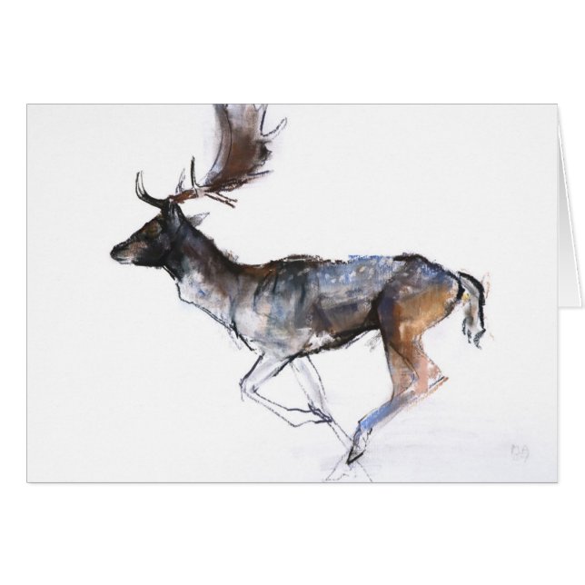 Evening Buck (Front Horizontal)
