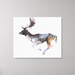 Evening Buck Canvas Print