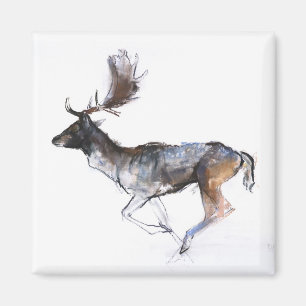 Evening Buck Magnet