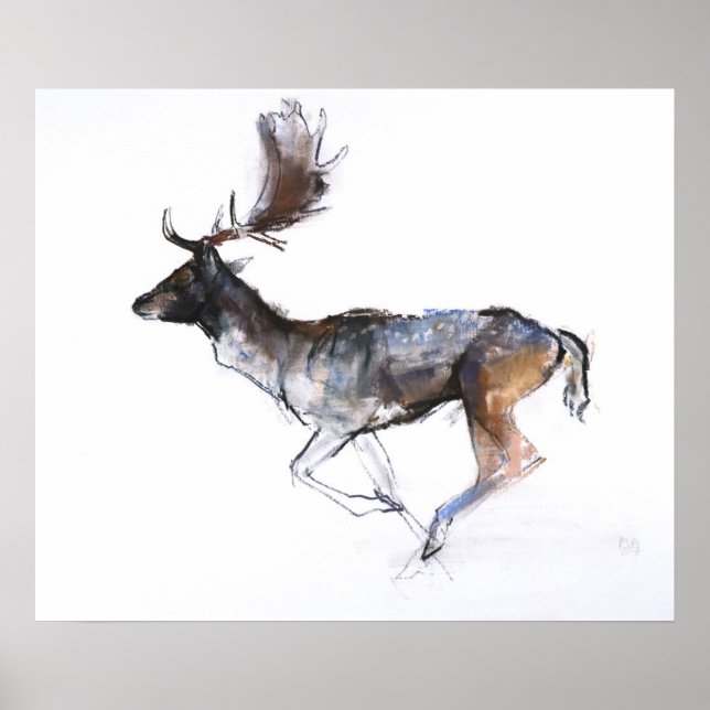 Evening Buck Poster (Front)