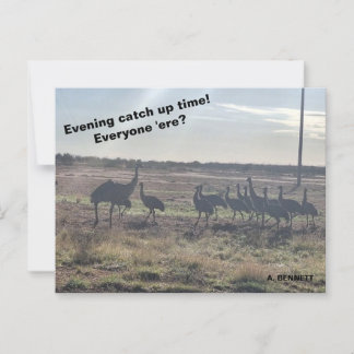 Evening catch up time postcard