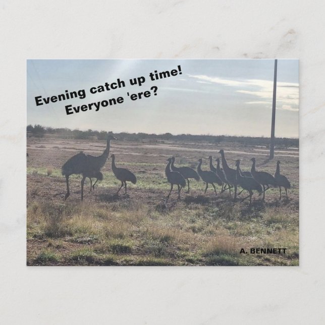 Evening catch up time postcard (Front)