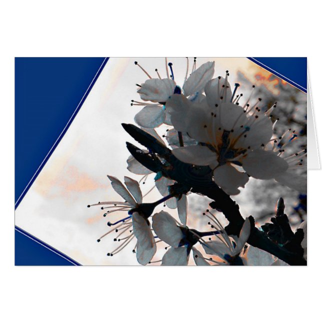 Evening Cherry Blossom Blank Card (Front Horizontal)