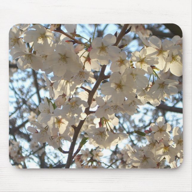 Evening Cherry Blossoms I Spring Floral Mouse Mat (Front)