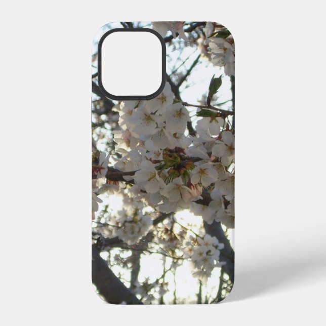 Evening Cherry Blossoms II Spring Sunset iPhone Case (Back)