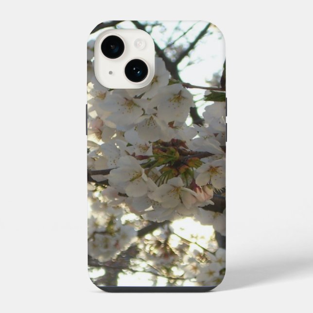 Evening Cherry Blossoms II Spring Sunset iPhone Case (Back)