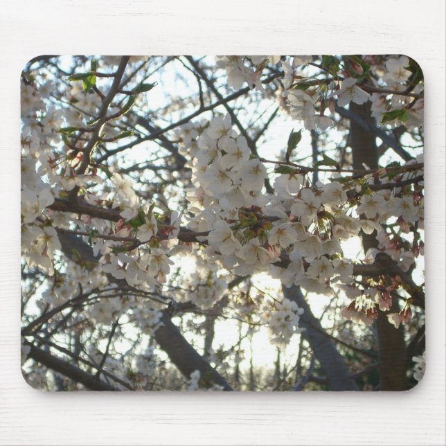 Evening Cherry Blossoms II Spring Sunset Mouse Mat (Front)