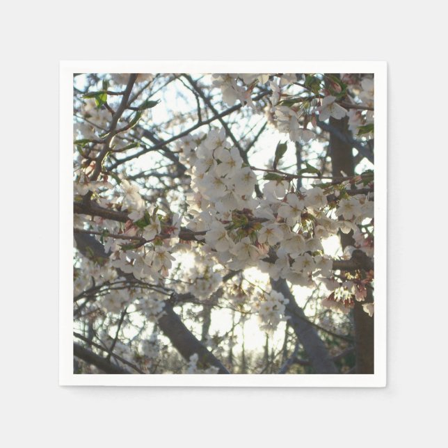 Evening Cherry Blossoms II Spring Sunset Napkin (Front)