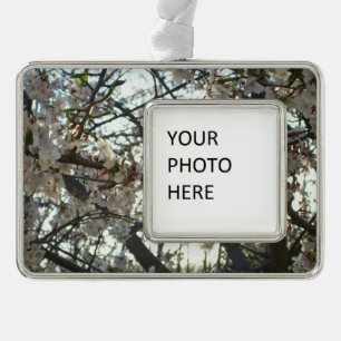 Evening Cherry Blossoms II Spring Sunset Silver Plated Framed Ornament