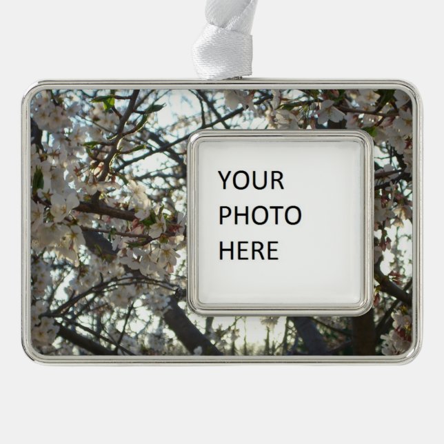 Evening Cherry Blossoms II Spring Sunset Silver Plated Framed Ornament (Front)