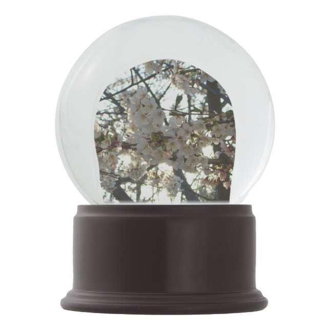 Evening Cherry Blossoms II Spring Sunset Snow Globe (Front)