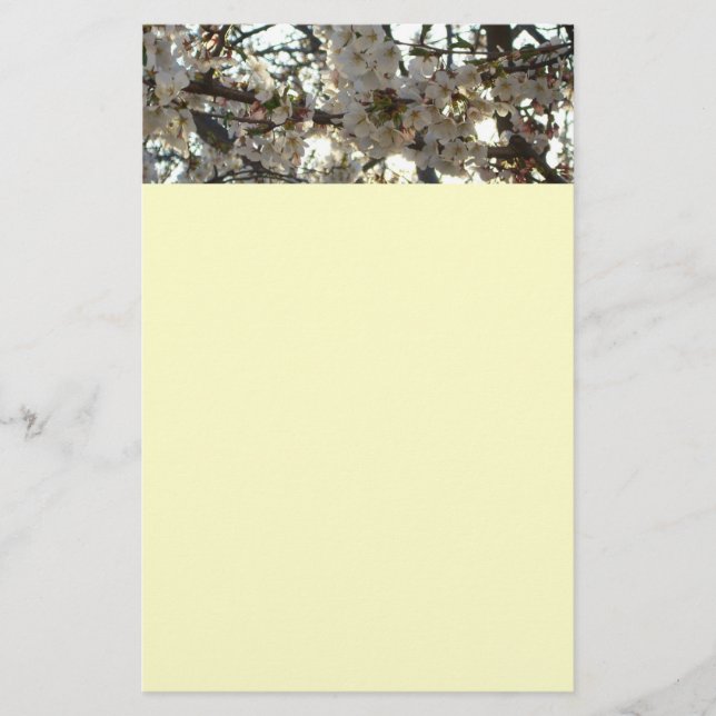 Evening Cherry Blossoms II Spring Sunset Stationery (Front)