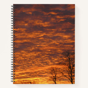 Evening Dream Notebook