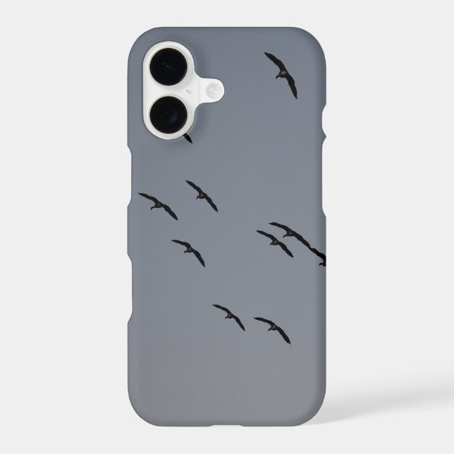 Evening Flight (Back)