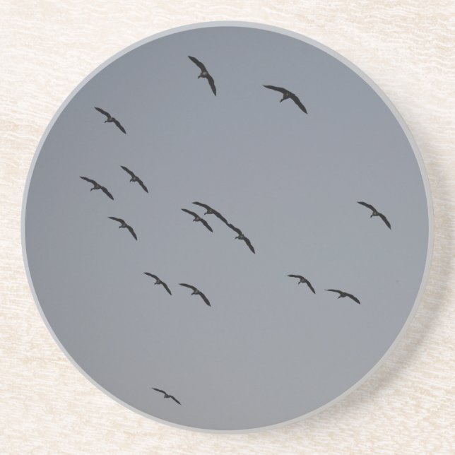 Evening Flight  Coaster (Front)