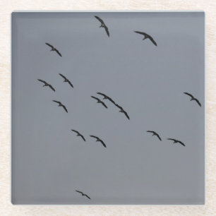 Evening Flight Glass Coaster