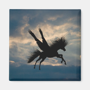 Evening Flight Magnet