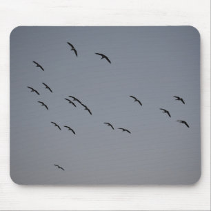 Evening Flight Mouse Mat