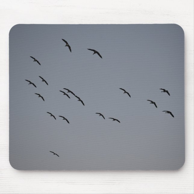 Evening Flight Mouse Mat (Front)
