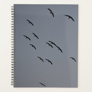Evening Flight Planner