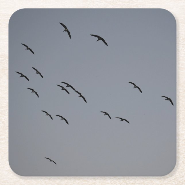 Evening Flight  Square Paper Coaster (Front)