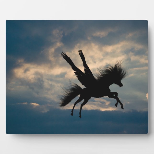 Evening Flight v.1  Plaque (Front)
