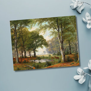 Evening Forest Landscape  Postcard