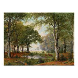 Evening Forest Landscape Poster