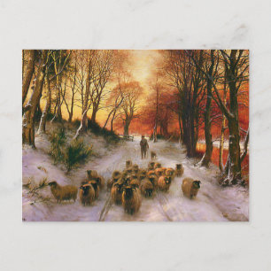 Evening Hours Postcard