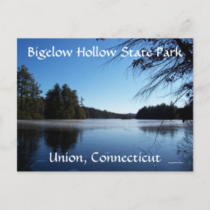 Evening in Bigelow Postcard