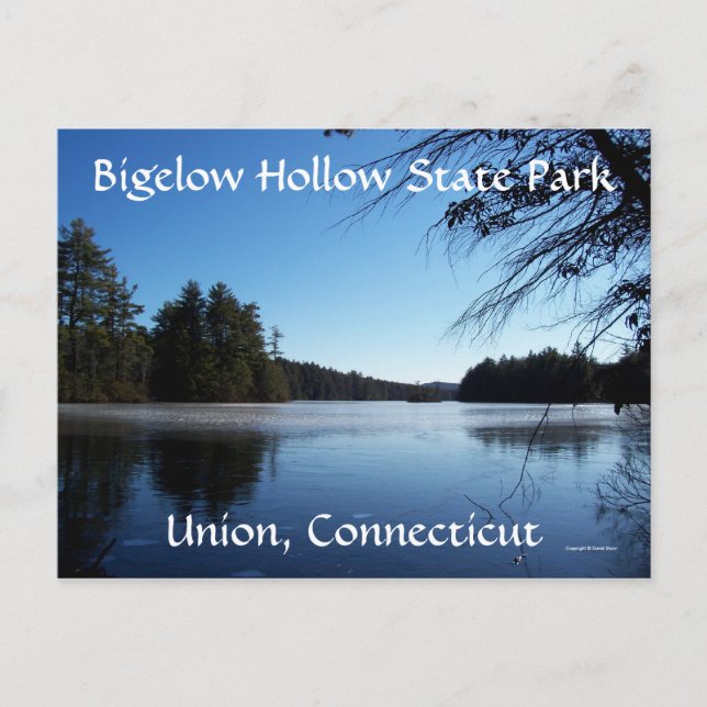 Evening in Bigelow Postcard (Front)