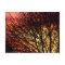 Evening Light Blank Notecard