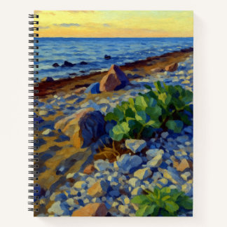 Evening light on the coast of Vormsi Notebook