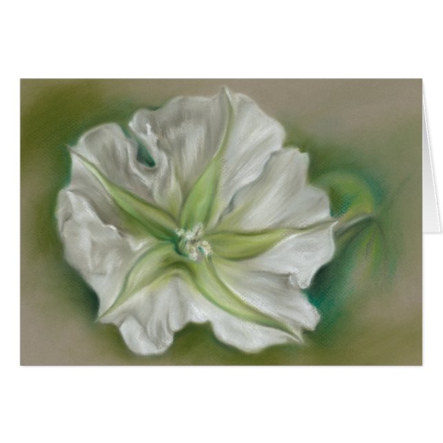 Evening Moonflower Pastel Art (Front Horizontal)