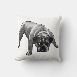 Evening Nook Sentinel Cushion
