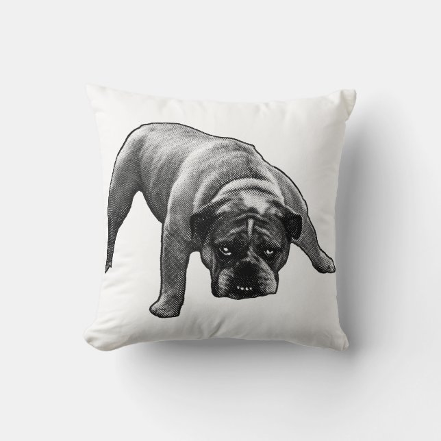 Evening Nook Sentinel  Cushion (Front)