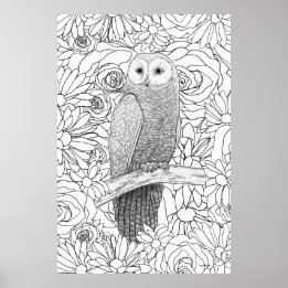 Evening Owl Poster