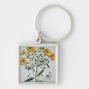 Evening Primrose, plate 73 from 'Collection Precie Key Ring