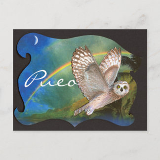 Evening Pueo Postcard