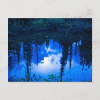 Evening Reflections Postcard